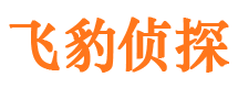 崇明市侦探调查公司